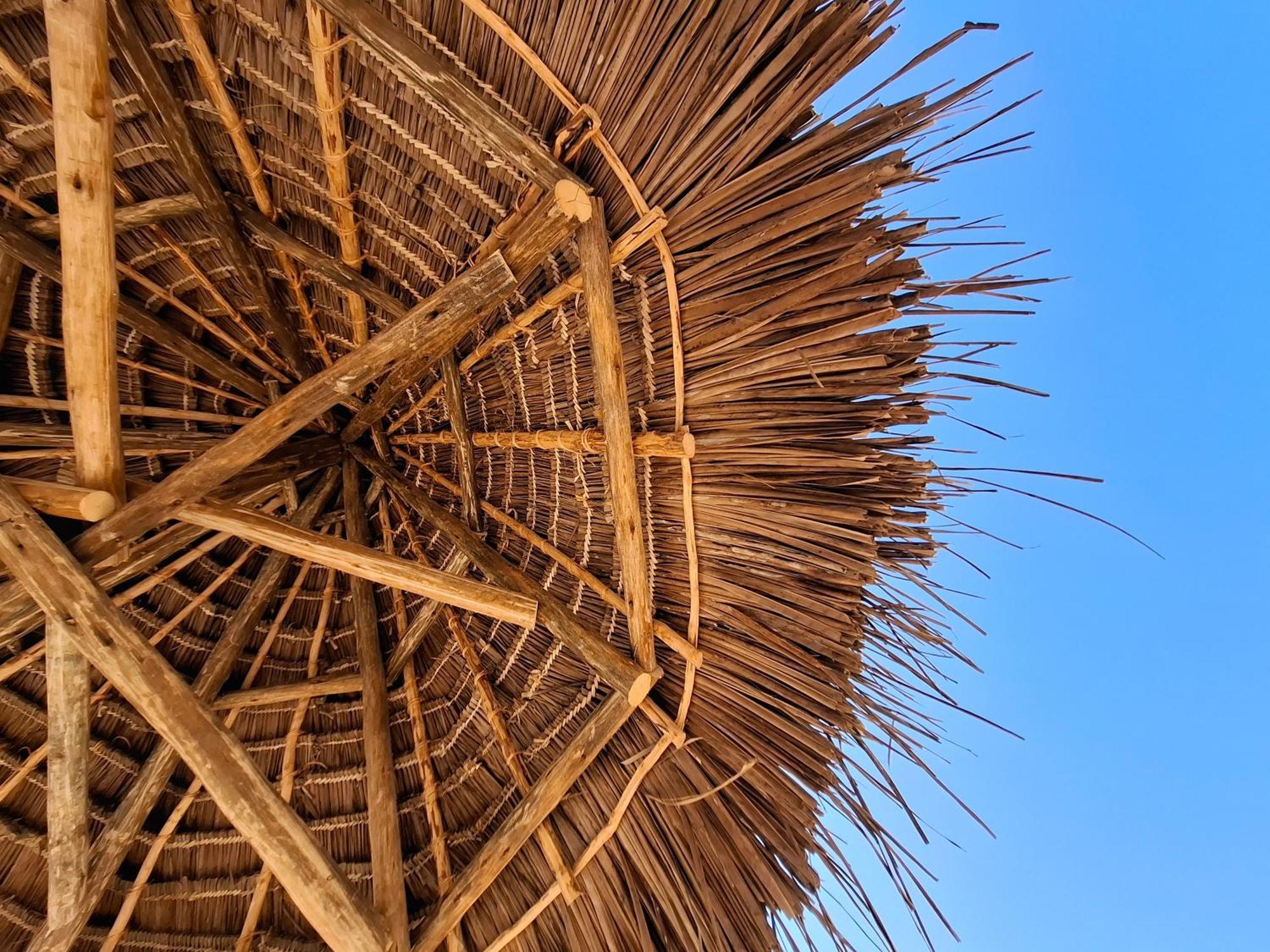 Blooming Zanzibar Otel Jambiani  Dış mekan fotoğraf