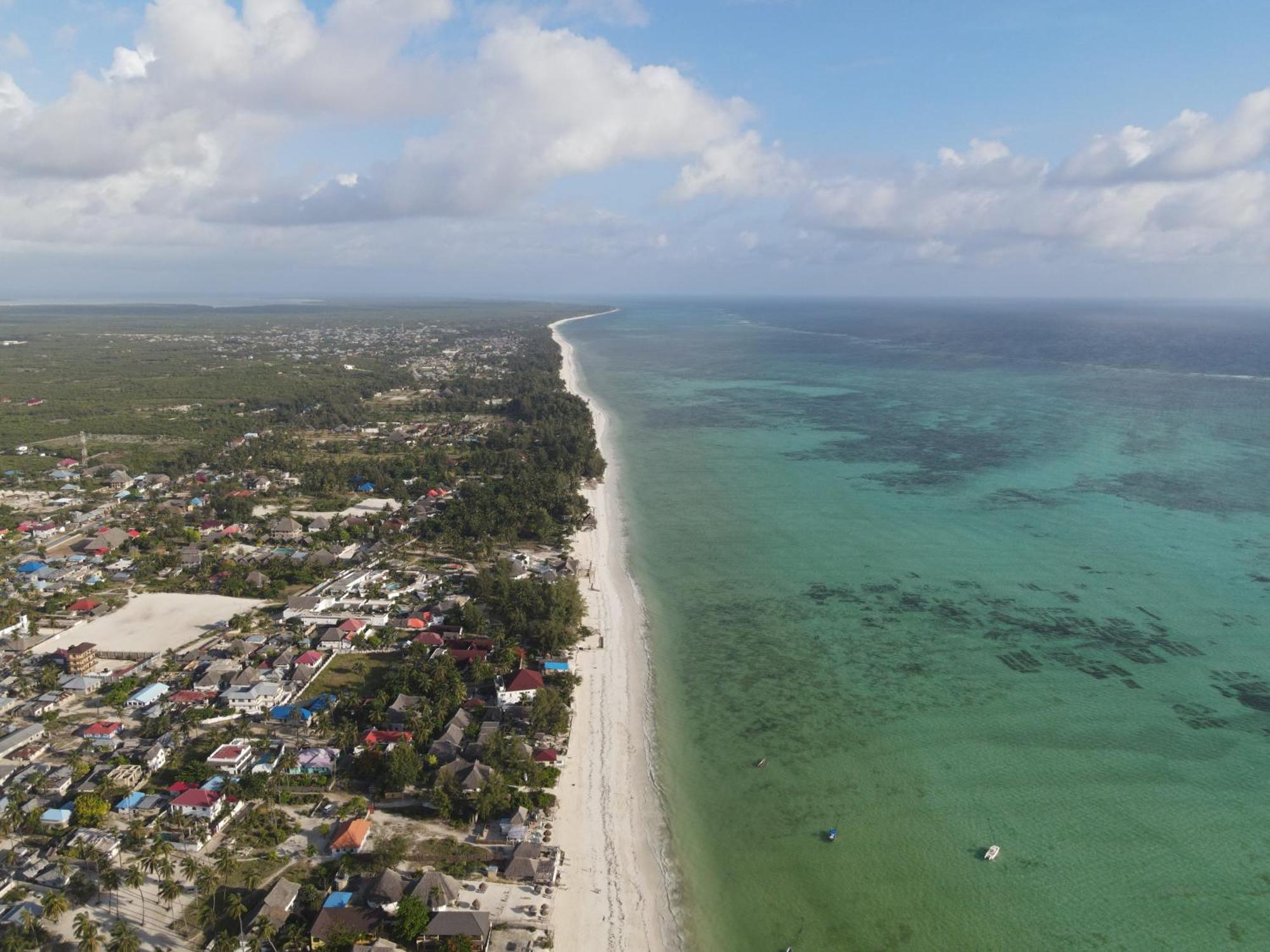 Blooming Zanzibar Otel Jambiani  Dış mekan fotoğraf