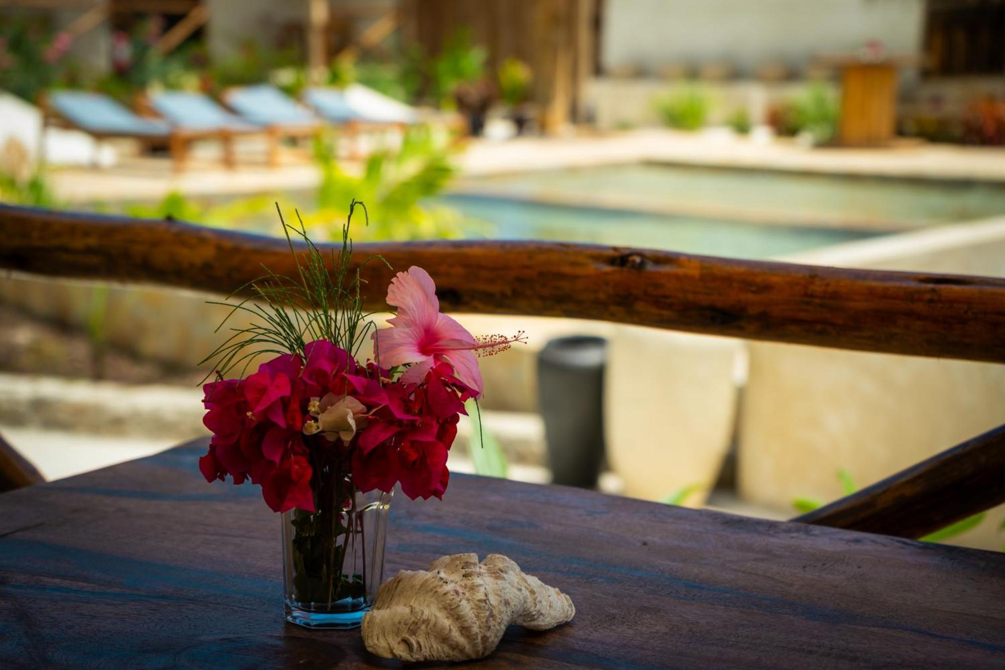 Blooming Zanzibar Otel Jambiani  Dış mekan fotoğraf
