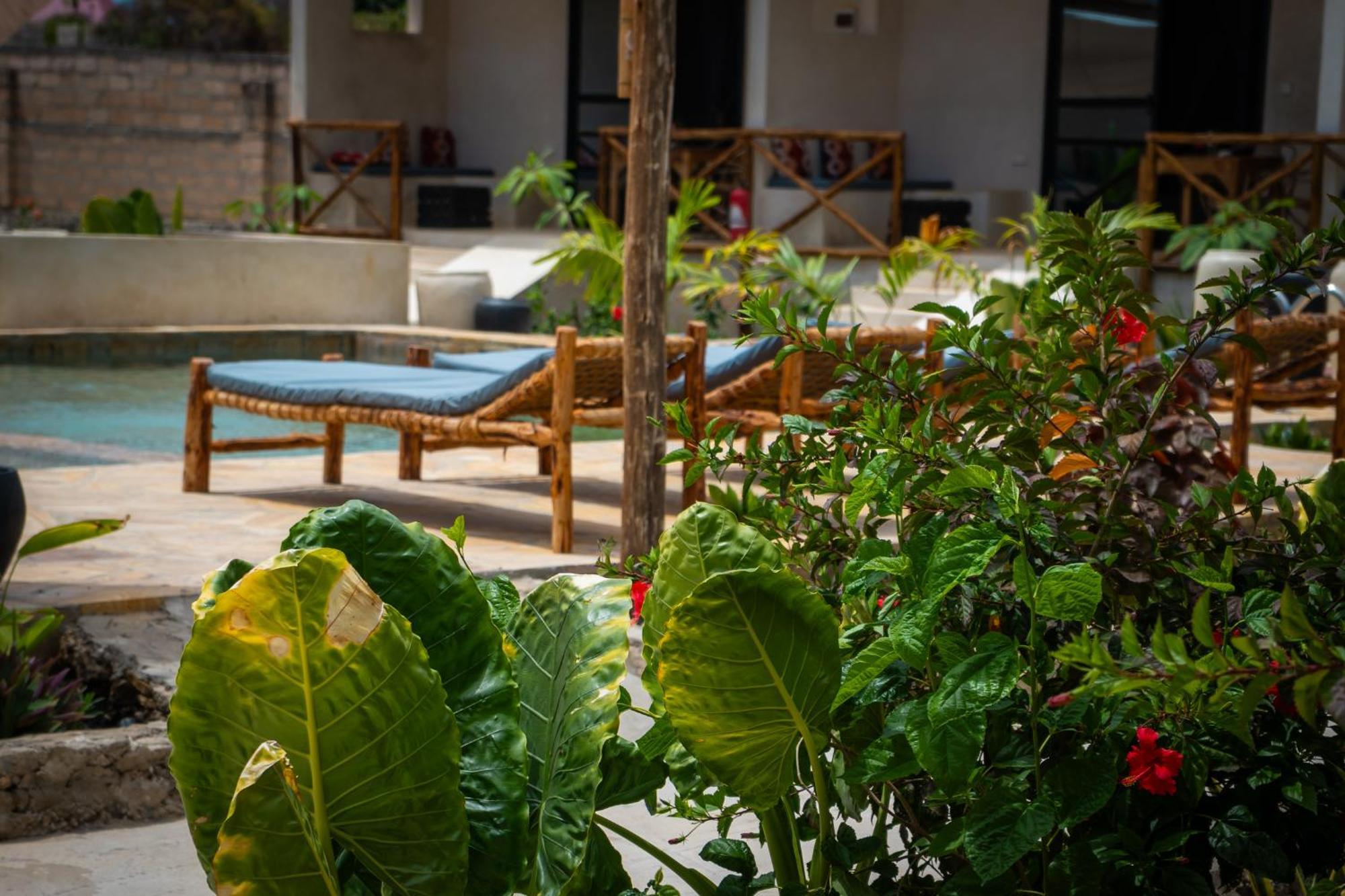 Blooming Zanzibar Otel Jambiani  Dış mekan fotoğraf
